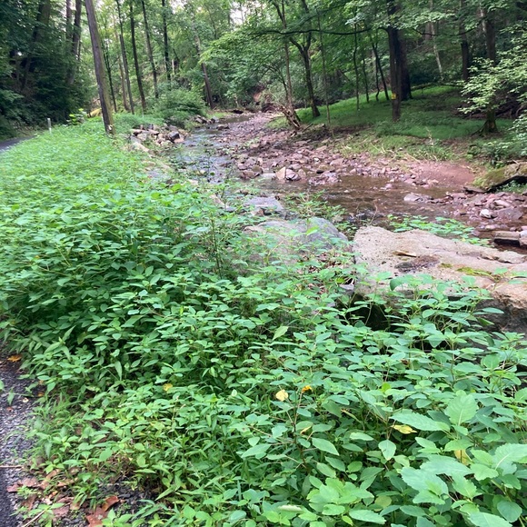 Meet your Posher, Samantha - Picture 1 of 1